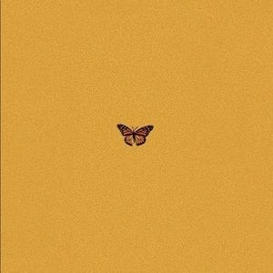 Meet your Posher, Briawna